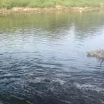 IMG-20260719-WA0000
