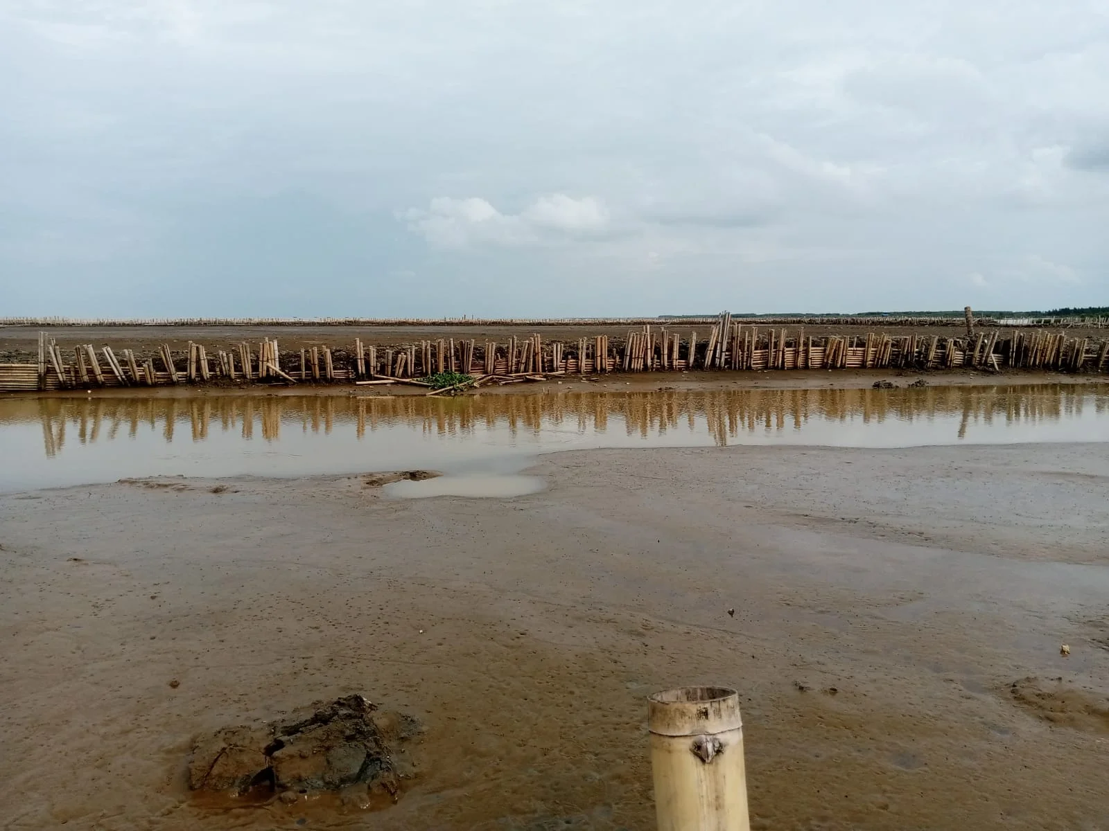 IMG-20230217-WA0006