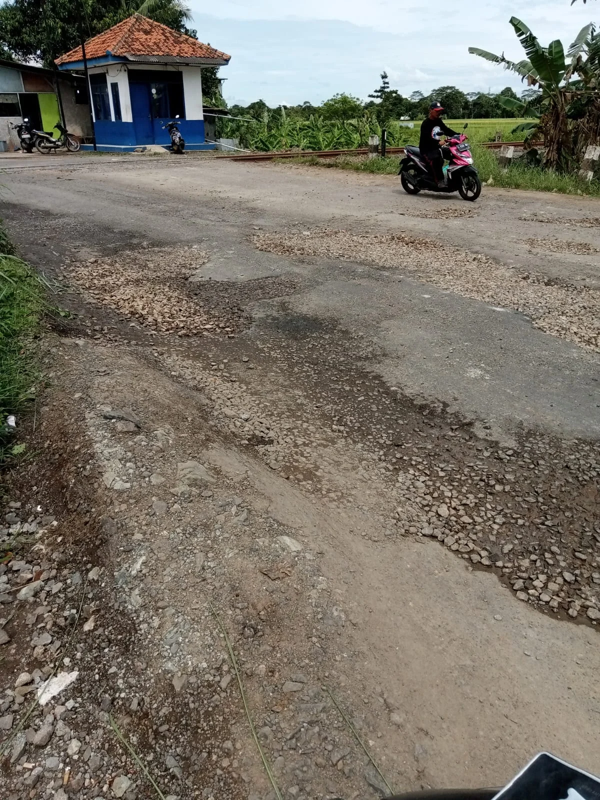 IMG-20230307-WA0011